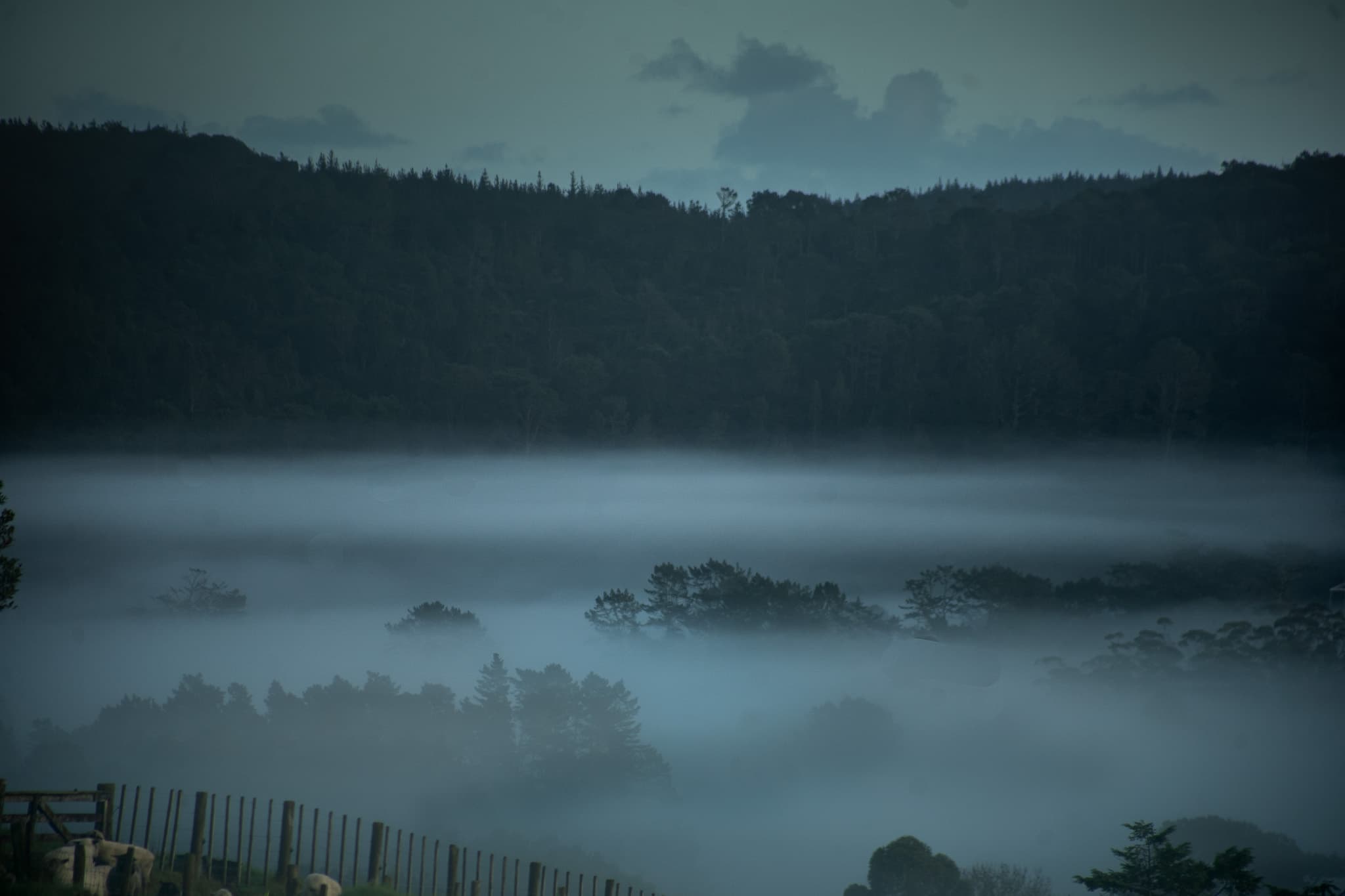Silent Valley
